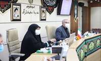 طرح های درمان ناباروری در اولویت نظام سلامت