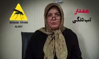 نماهنگ|همه چیز درباه تب دنگی و پشه آئدس