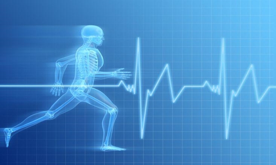 sports_science 